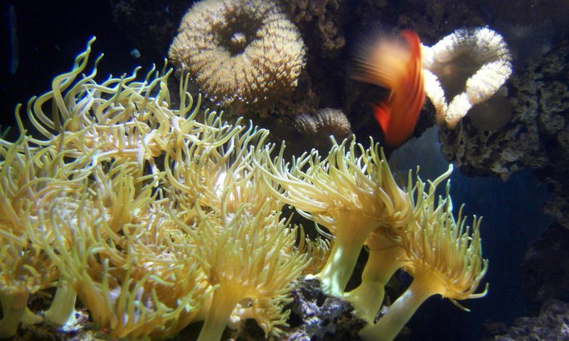 Sea Life Helsinki