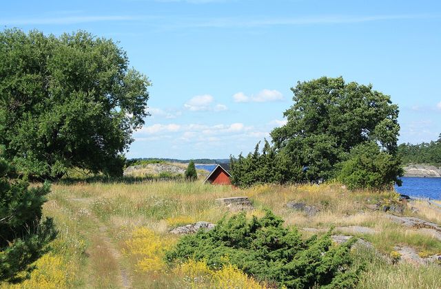 Meadow on Jussarö