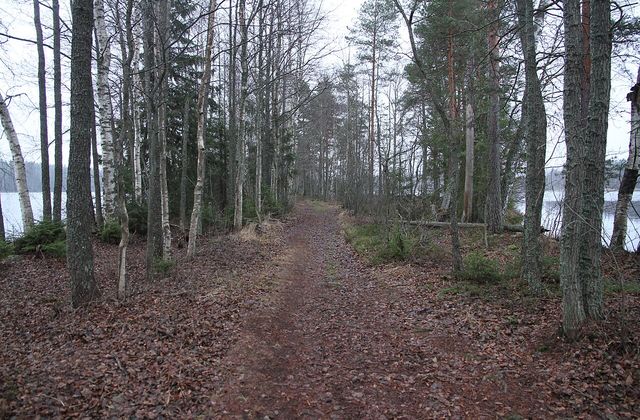 Kyynäränharju — the esker ridge