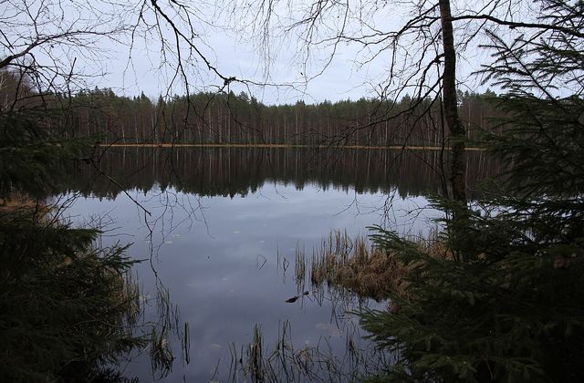 Peukalolammi pond