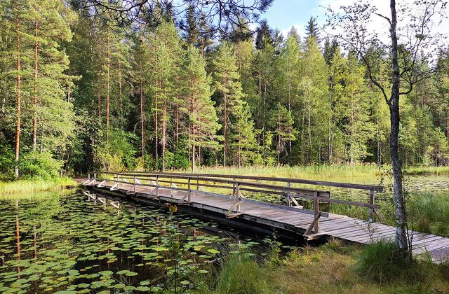 Lake Haukkalampi, the main trailhead