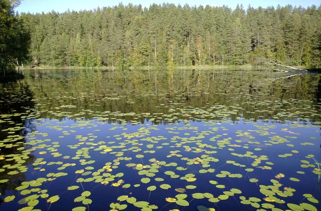 One of Nuuksio's 80-odd lakes