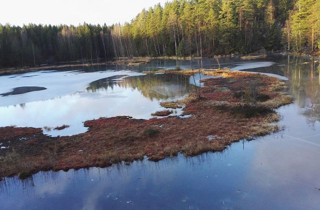 Mustalampi and its floating peat rafts