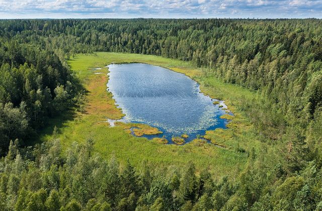 Bakunkärrsträsket