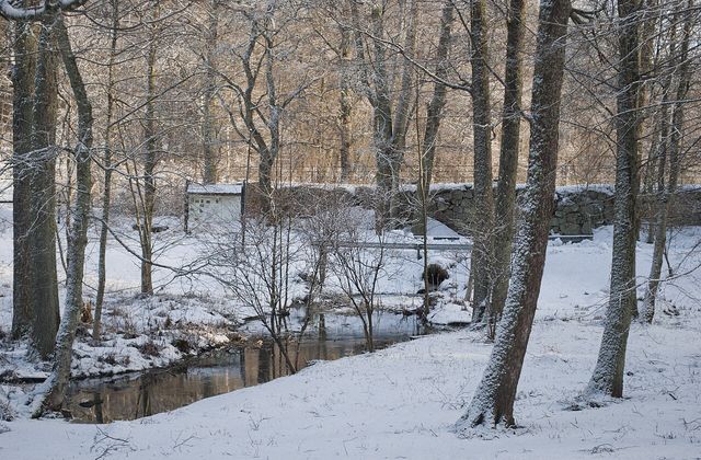 The mill dam at Kirjakkala
