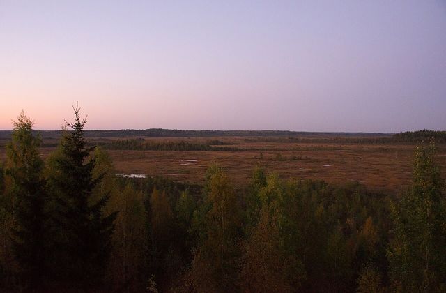 From the tower at dusk, September