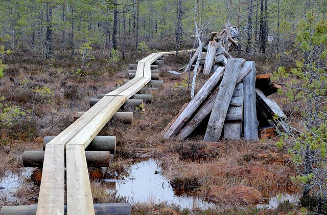 Duckboards near Kiljamo