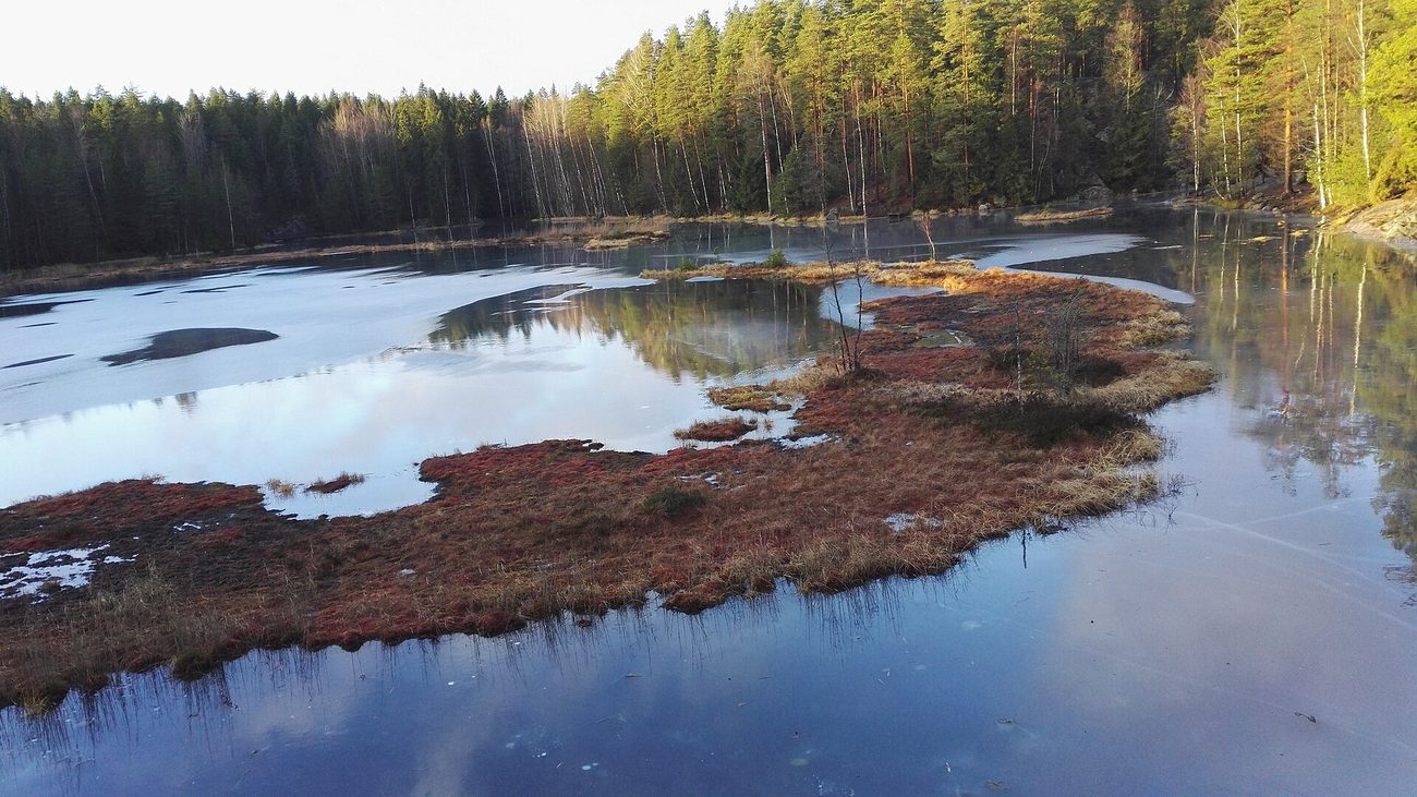Mustalampi — the pond with floating peat-moss rafts