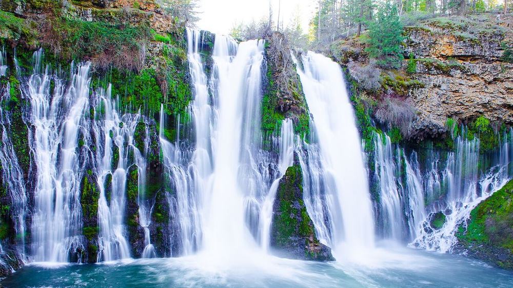 Burney Falls: Springs pouring out of the cliff face