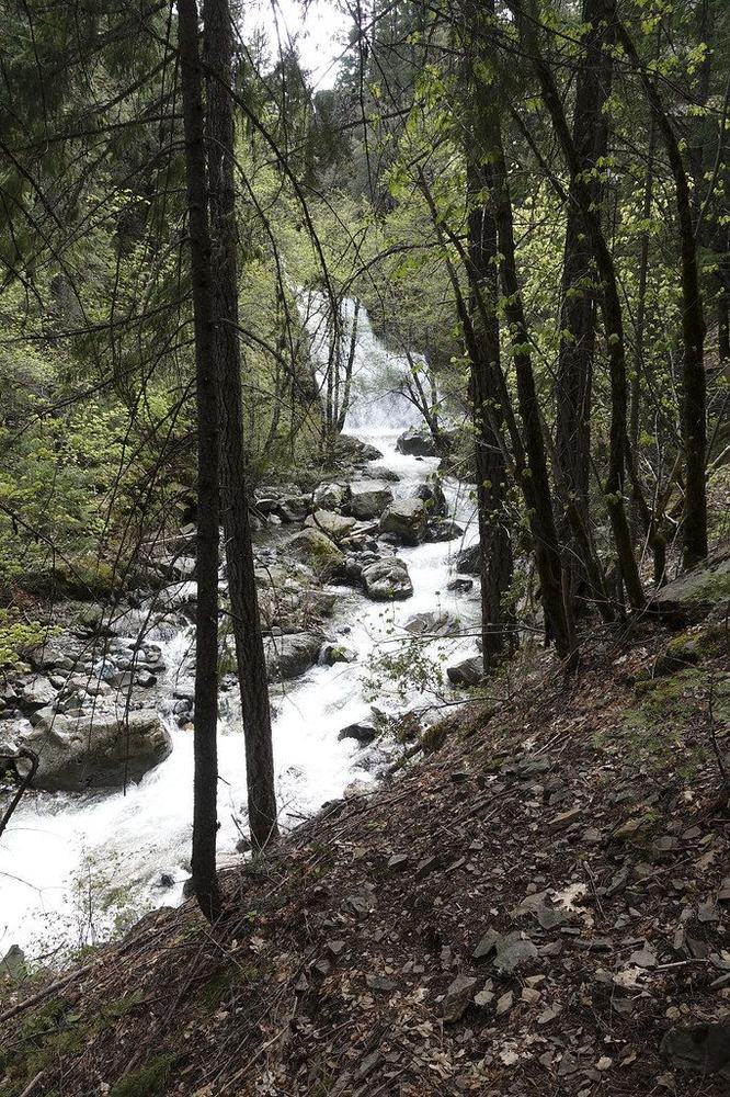 Faery Falls: Ney Springs Creek below the falls