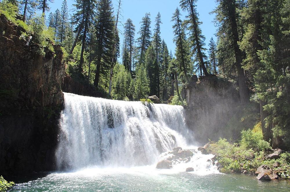 Middle McCloud Falls: The plunge pool you can swim in