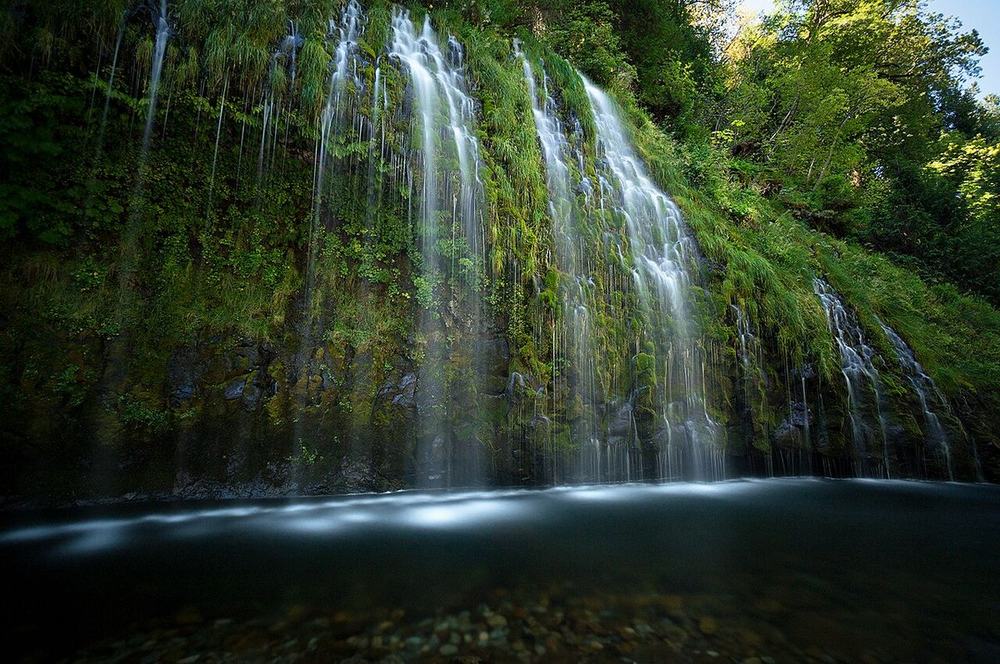 Mossbrae Falls: Water seeping out of the moss wall