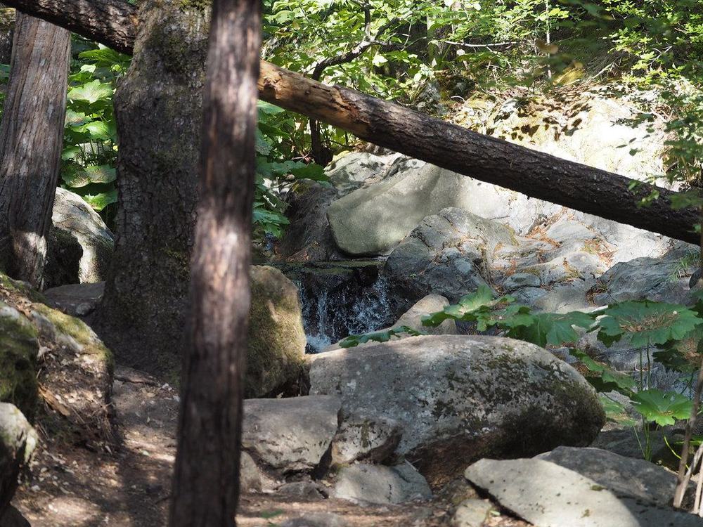 Root Creek Falls: Root Creek near the end of the trail