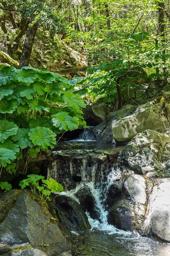 Root Creek Falls: Root Creek in summer